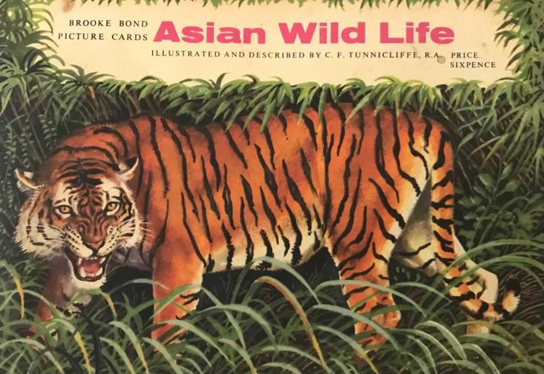 Asian Wildlife Tea Card Album © Courtesy of David Waterhouse